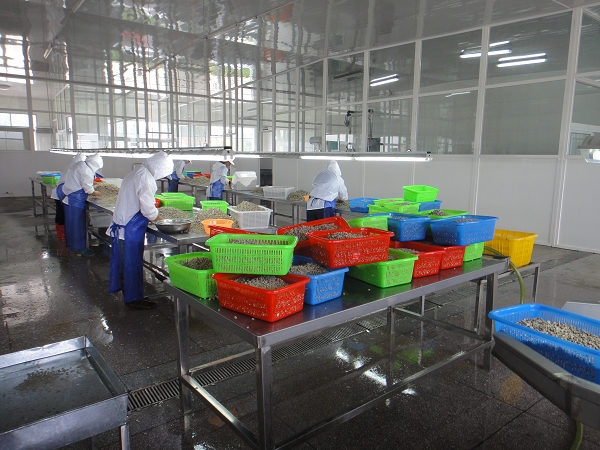 集成吊頂板材