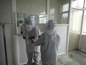 集成吊頂板材
